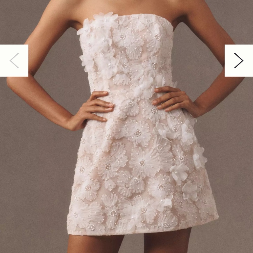 Anthropologie -Helsi Tory Strapless Beaded Floral Mesh Mini Dress